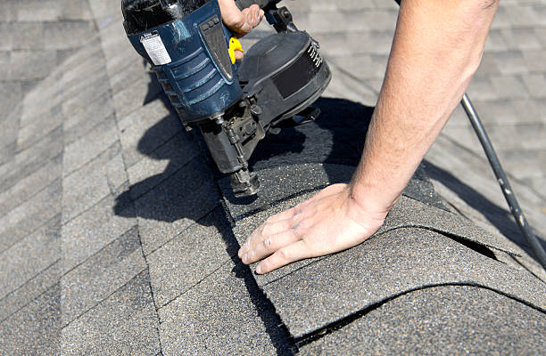 Best Roof Moss and Algae Removal  in Littlefield, TX